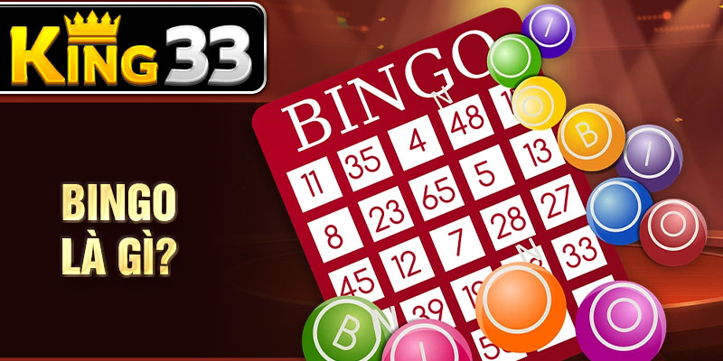 Bingo là gì? Bingo là gì?