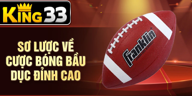 Sơ lược về cược bóng bầu dục đỉnh cao Sơ lược về cược bóng bầu dục đỉnh cao